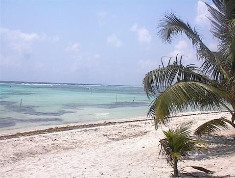 Sipping bottled water under a little hut, watching the beach