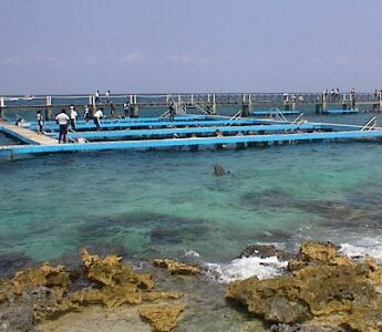 Dolphin pen in Chankanaab